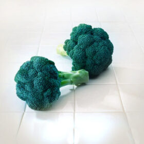 Broccoli Diplomat F1 Seed A20221057