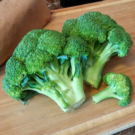 Broccoli Gypsy F1 Seed A20221060