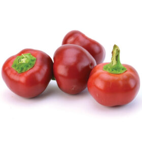 Pepper Large Red Cherry Hot Seed A20221909