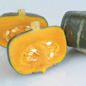 Squash Bonbon F1 Seed A20221724