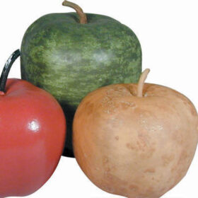 Gourd Big Apple Seed A20221291