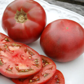 Tomato Cherokee Purple Seed A20221787