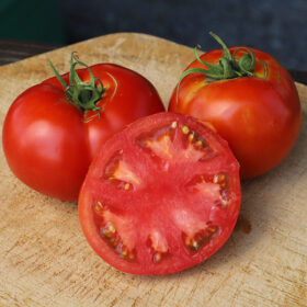 Tomato Big Beef F1 Seed A20221777