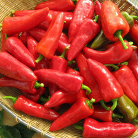 Pepper Sweety F1 Seed A20221940