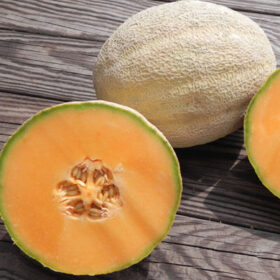 Melon Cleopatra F1 Seed A20221458