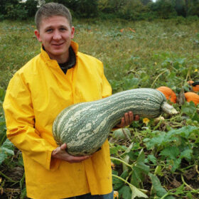 Squash Green Striped Cushaw Seed A20221747