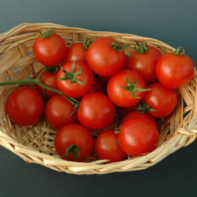 Tomato Baby Cakes F1 Seed A20221811