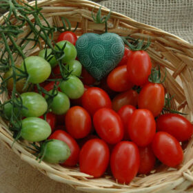 Tomato Sweet Hearts F1 Seed A20222111