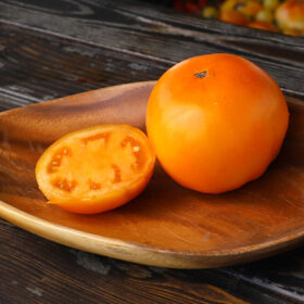 Tomato Carolina Gold F1 Seed A20221784