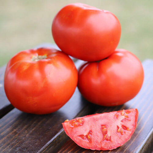Tomato Red Deuce F1 Seed A20222088