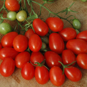 Tomato Red Grape F1 Seed A20222089