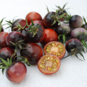 Tomato Indigo? Blue Berries Organic Seed A20221799