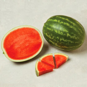 Watermelon Fascination F1 Seed A20221828