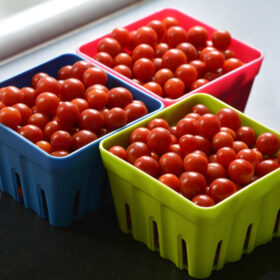 Tomato Candyland Seed A20221783