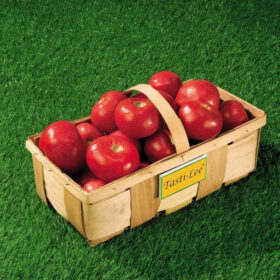 Tomato Tasti-Lee F1 Organic Seed A20222113