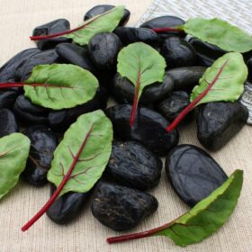 Beet Greens Fresh Pak Seed A20221048