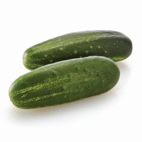 Cucumber Citadel F1 Seed A20221244