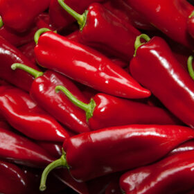 Pepper Stocky Red Roaster Organic Seed A20221935