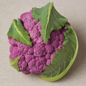 Cauliflower DePurple F1 Seed A20221109