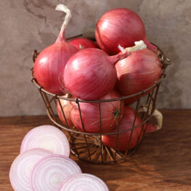 Onion Blush F1 for Sale A20221514