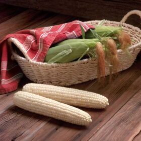 Sweet Corn Biotech Milky Way F1 Seed A20221202