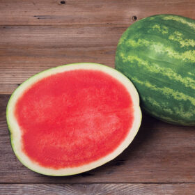 Watermelon Excursion F1 Seed A20221827