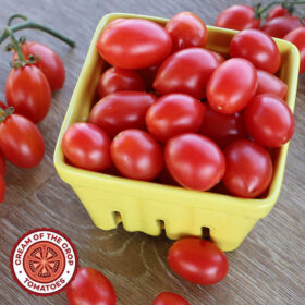 Tomato Pink Champagne Organic Seed A20222079