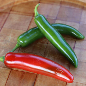 Pepper Trapio F1 Seed A20221944