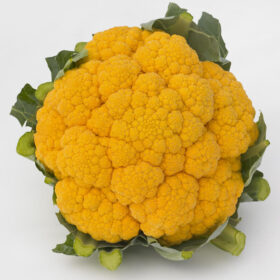 Cauliflower Clementine F1 Seed A20221108