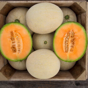 Melon True Love F1 Organic Seed A20221476
