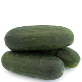 Cucumber Espirit F1 Seed A20221248