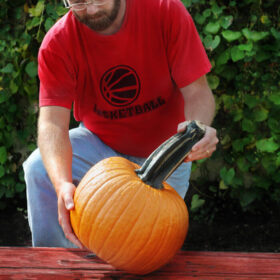 Pumpkin Wolf Seed for Sale A20222022