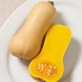Squash Butterscotch F1 Organic Seed A20221758