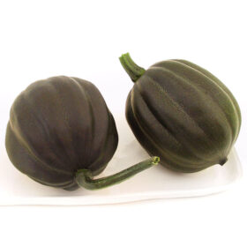 Squash Table Sugar F1 Organic Seed A20222056